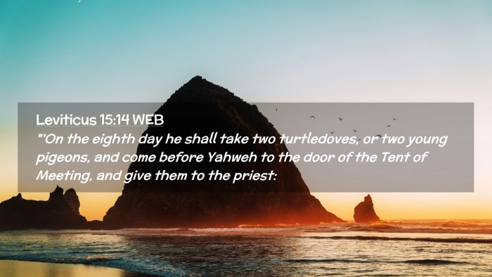 Picture 02 - Leviticus 15:14 WEB Desktop Wallpaper - 
