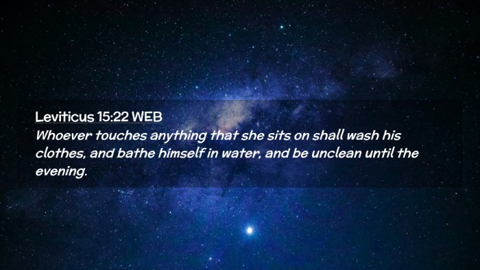 Picture 02 - Leviticus 15:22 WEB Desktop Wallpaper - Whoever touches anything that she sits on shall - Desktop Bible Verse Wallpaper