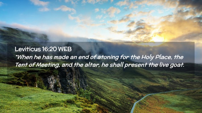 Picture 02 - Leviticus 16:20 WEB Desktop Wallpaper - 