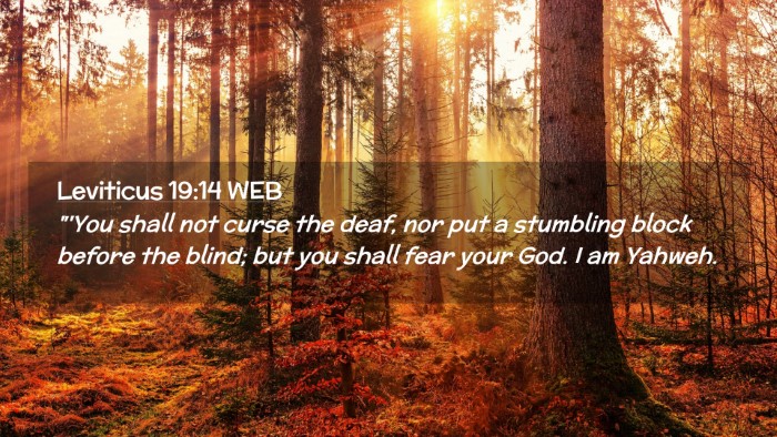 Picture 02 - Leviticus 19:14 WEB Desktop Wallpaper - 