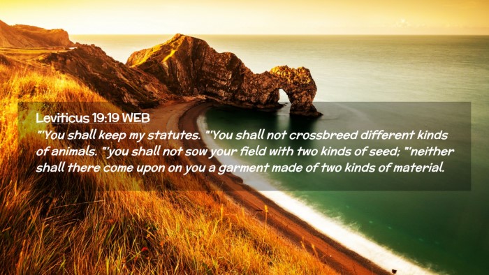 Picture 02 - Leviticus 19:19 WEB Desktop Wallpaper - 