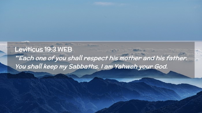 Picture 02 - Leviticus 19:3 WEB Desktop Wallpaper - 