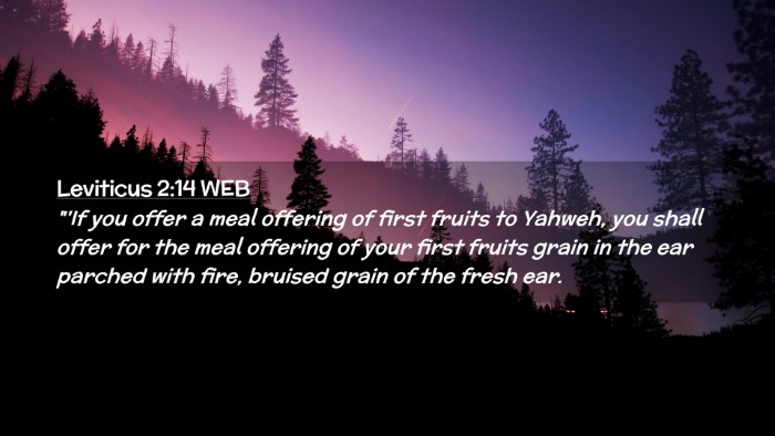Picture 02 - Leviticus 2:14 WEB Desktop Wallpaper - 