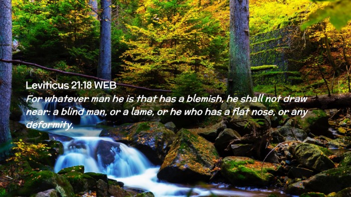 Picture 02 - Leviticus 21:18 WEB Desktop Wallpaper - For whatever man he is that has a blemish, he - Desktop Bible Verse Wallpaper