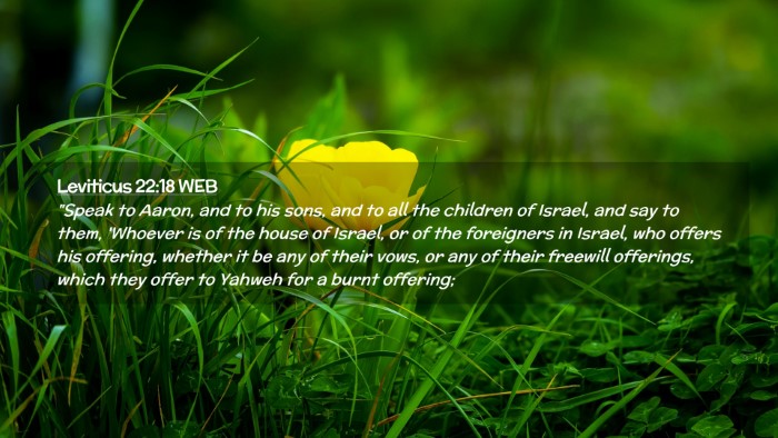 Picture 02 - Leviticus 22:18 WEB Desktop Wallpaper - 