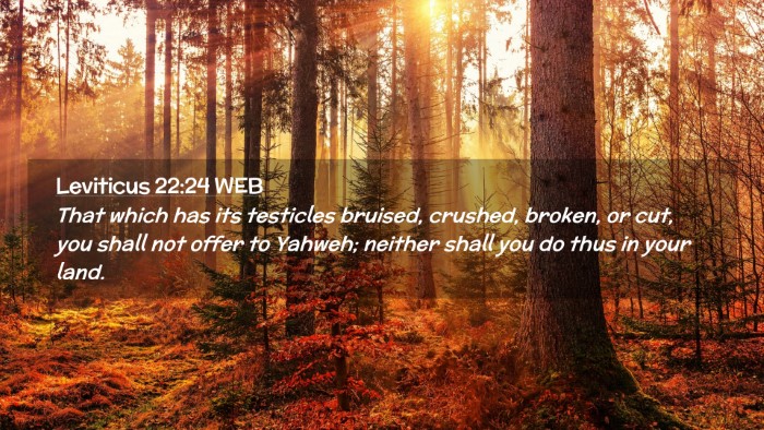 Picture 02 - Leviticus 22:24 WEB Desktop Wallpaper - That which has its testicles bruised, crushed, - Desktop Bible Verse Wallpaper