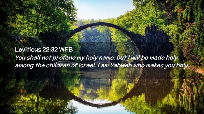 Picture 02 - Leviticus 22:32 WEB Desktop Wallpaper - You shall not profane my holy name, but I will be - Desktop Bible Verse Wallpaper
