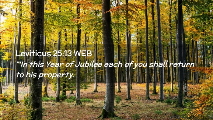Picture 02 - Leviticus 25:13 WEB Desktop Wallpaper - 