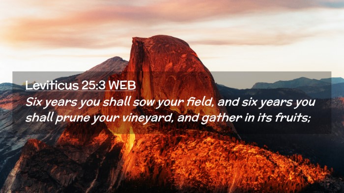 Picture 02 - Leviticus 25:3 WEB Desktop Wallpaper - Six years you shall sow your field, and six years - Desktop Bible Verse Wallpaper