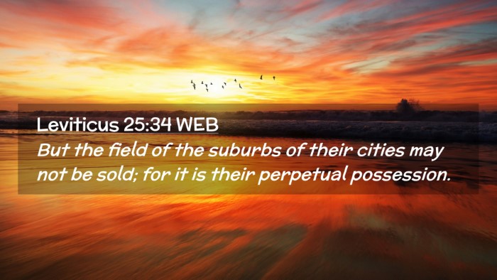 Picture 02 - Leviticus 25:34 WEB Desktop Wallpaper - But the field of the suburbs of their cities may - Desktop Bible Verse Wallpaper