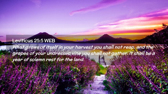 Picture 02 - Leviticus 25:5 WEB Desktop Wallpaper - What grows of itself in your harvest you shall - Desktop Bible Verse Wallpaper