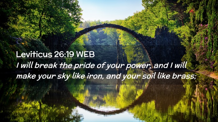 Picture 02 - Leviticus 26:19 WEB Desktop Wallpaper - I will break the pride of your power, and I will - Desktop Bible Verse Wallpaper