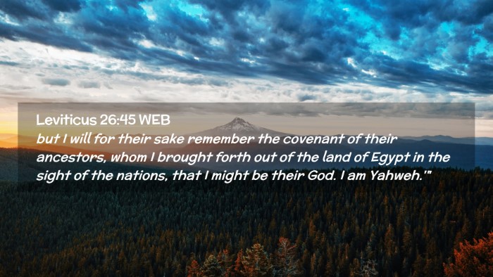 Picture 02 - Leviticus 26:45 WEB Desktop Wallpaper - but I will for their sake remember the covenant - Desktop Bible Verse Wallpaper
