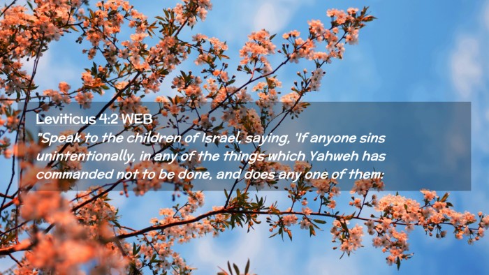 Picture 02 - Leviticus 4:2 WEB Desktop Wallpaper - 