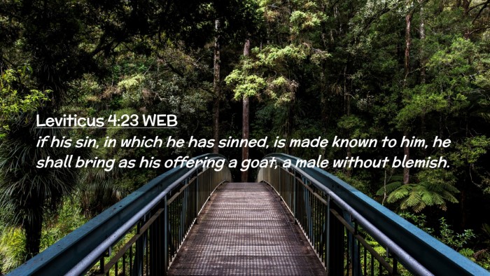 Picture 02 - Leviticus 4:23 WEB Desktop Wallpaper - if his sin, in which he has sinned, is made known - Desktop Bible Verse Wallpaper