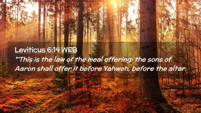 Picture 02 - Leviticus 6:14 WEB Desktop Wallpaper - 