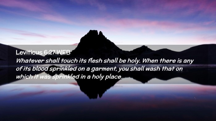 Picture 02 - Leviticus 6:27 WEB Desktop Wallpaper - Whatever shall touch its flesh shall be holy. - Desktop Bible Verse Wallpaper