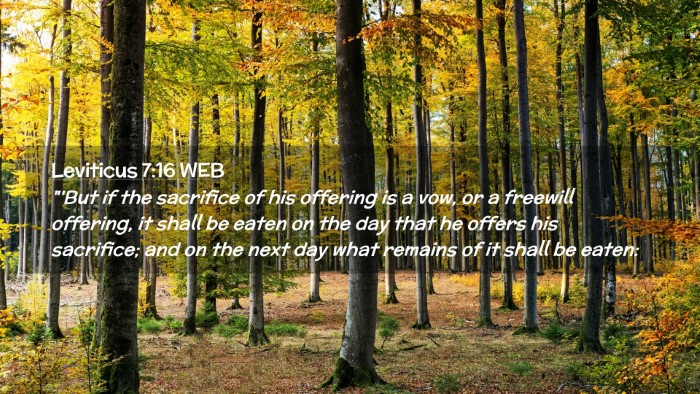 Picture 02 - Leviticus 7:16 WEB Desktop Wallpaper - 