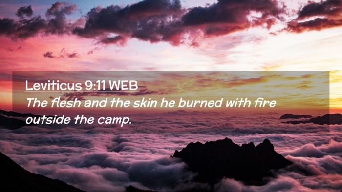 Picture 02 - Leviticus 9:11 WEB Desktop Wallpaper - The flesh and the skin he burned with fire - Desktop Bible Verse Wallpaper
