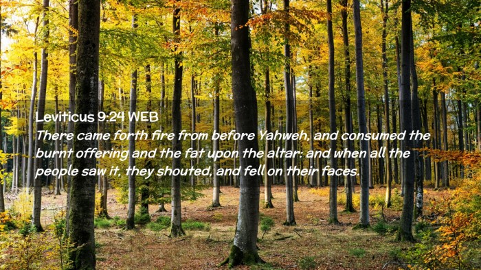 Picture 02 - Leviticus 9:24 WEB Desktop Wallpaper - There came forth fire from before Yahweh, and - Desktop Bible Verse Wallpaper