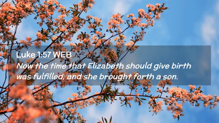Picture 02 - Luke 1:57 WEB Desktop Wallpaper - Now the time that Elizabeth should give birth was - Desktop Bible Verse Wallpaper