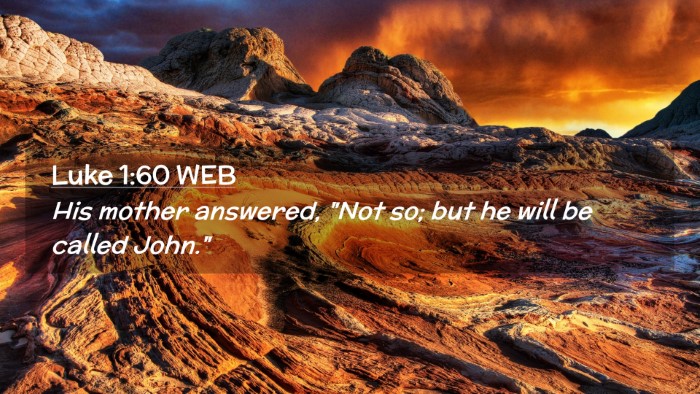 Picture 02 - Luke 1:60 WEB Desktop Wallpaper - His mother answered, 