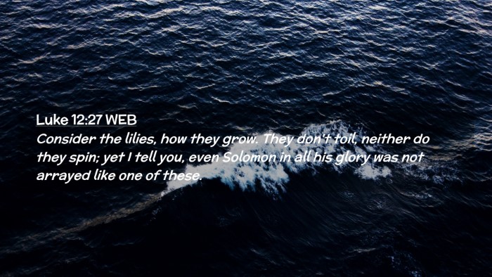Picture 02 - Luke 12:27 WEB Desktop Wallpaper - Consider the lilies, how they grow. They don't - Desktop Bible Verse Wallpaper