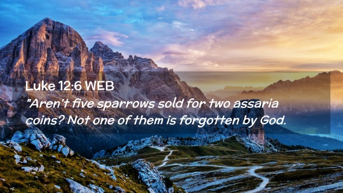 Picture 02 - Luke 12:6 WEB Desktop Wallpaper - 