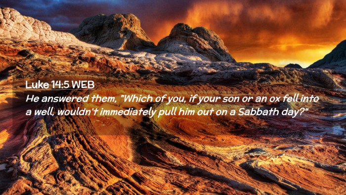 Picture 02 - Luke 14:5 WEB Desktop Wallpaper - He answered them, 