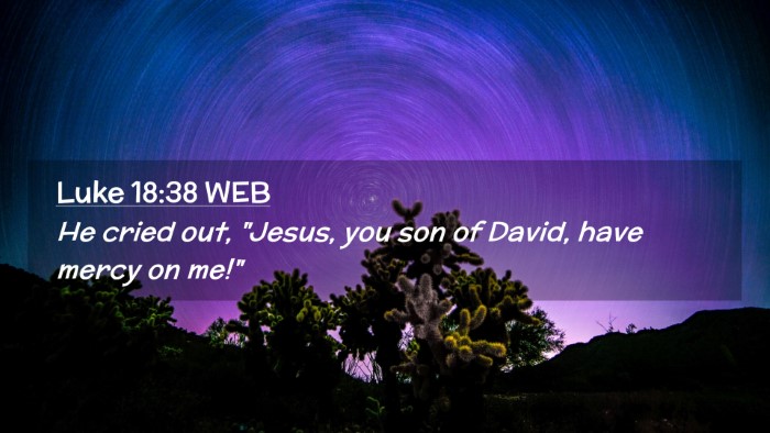 Picture 02 - Luke 18:38 WEB Desktop Wallpaper - He cried out, 
