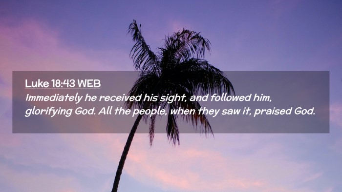 Picture 02 - Luke 18:43 WEB Desktop Wallpaper - Immediately he received his sight, and followed - Desktop Bible Verse Wallpaper