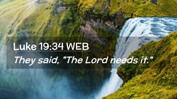 Picture 02 - Luke 19:34 WEB Desktop Wallpaper - They said, 