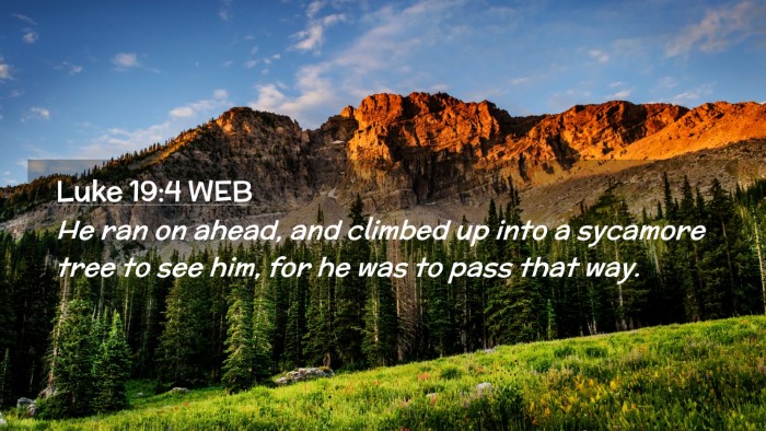 Picture 02 - Luke 19:4 WEB Desktop Wallpaper - He ran on ahead, and climbed up into a sycamore - Desktop Bible Verse Wallpaper