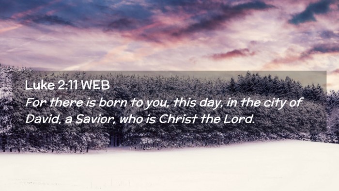 Picture 02 - Luke 2:11 WEB Desktop Wallpaper - For there is born to you, this day, in the city - Desktop Bible Verse Wallpaper