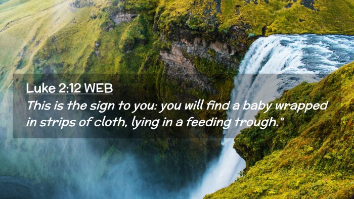 Picture 02 - Luke 2:12 WEB Desktop Wallpaper - This is the sign to you: you will find a baby - Desktop Bible Verse Wallpaper