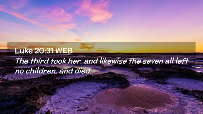 Picture 02 - Luke 20:31 WEB Desktop Wallpaper - The third took her, and likewise the seven all - Desktop Bible Verse Wallpaper