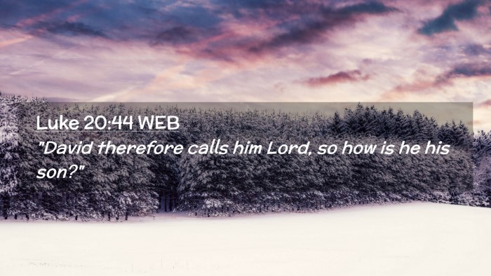 Picture 02 - Luke 20:44 WEB Desktop Wallpaper - 