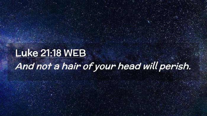 Picture 02 - Luke 21:18 WEB Desktop Wallpaper - And not a hair of your head will - Desktop Bible Verse Wallpaper