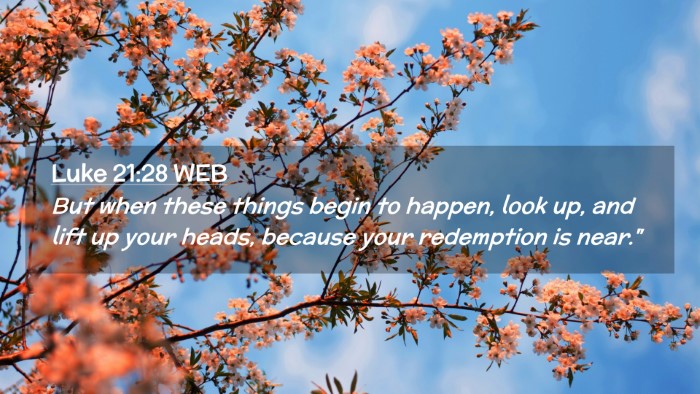 Picture 02 - Luke 21:28 WEB Desktop Wallpaper - But when these things begin to happen, look up, - Desktop Bible Verse Wallpaper