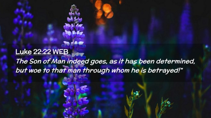 Picture 02 - Luke 22:22 WEB Desktop Wallpaper - The Son of Man indeed goes, as it has been - Desktop Bible Verse Wallpaper