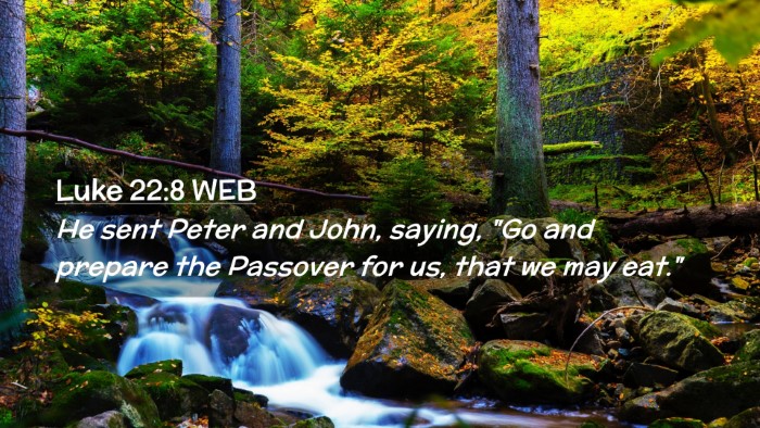 Picture 02 - Luke 22:8 WEB Desktop Wallpaper - He sent Peter and John, saying, 