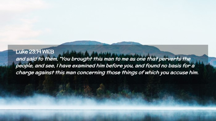 Picture 02 - Luke 23:14 WEB Desktop Wallpaper - and said to them, 