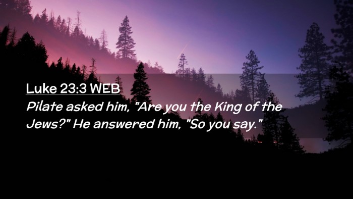 Picture 02 - Luke 23:3 WEB Desktop Wallpaper - Pilate asked him, 