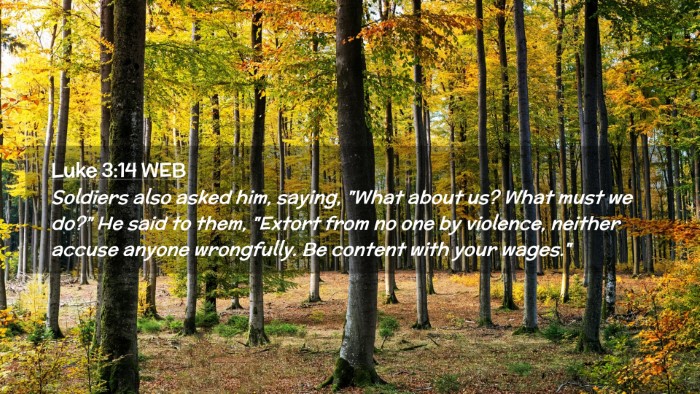 Picture 02 - Luke 3:14 WEB Desktop Wallpaper - Soldiers also asked him, saying, 