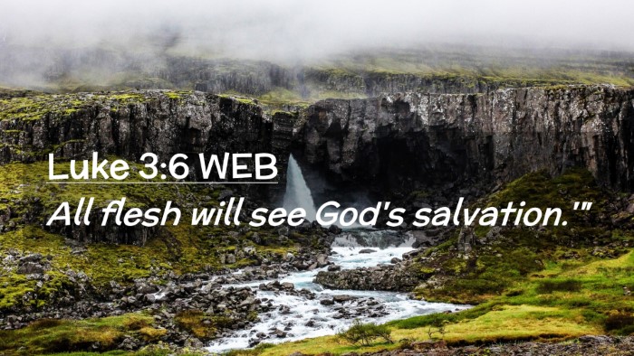 Picture 02 - Luke 3:6 WEB Desktop Wallpaper - All flesh will see God's - Desktop Bible Verse Wallpaper