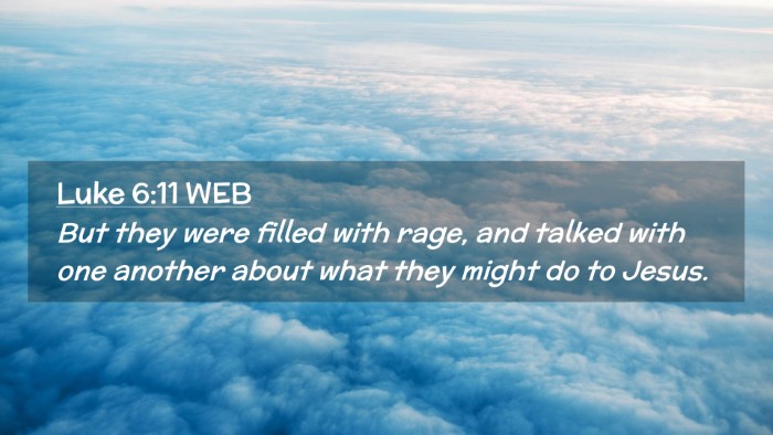 Picture 02 - Luke 6:11 WEB Desktop Wallpaper - But they were filled with rage, and talked with - Desktop Bible Verse Wallpaper