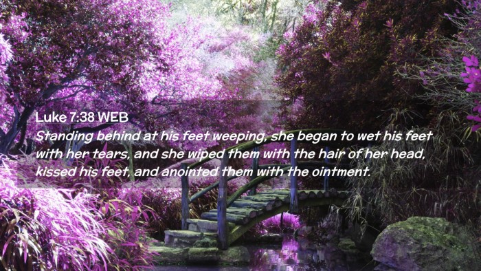 Picture 02 - Luke 7:38 WEB Desktop Wallpaper - Standing behind at his feet weeping, she began to - Desktop Bible Verse Wallpaper