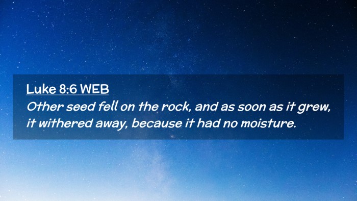 Picture 02 - Luke 8:6 WEB Desktop Wallpaper - Other seed fell on the rock, and as soon as it - Desktop Bible Verse Wallpaper