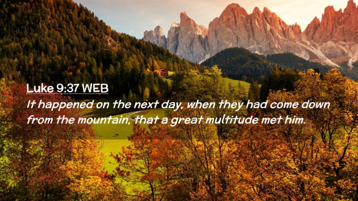 Picture 02 - Luke 9:37 WEB Desktop Wallpaper - It happened on the next day, when they had come - Desktop Bible Verse Wallpaper