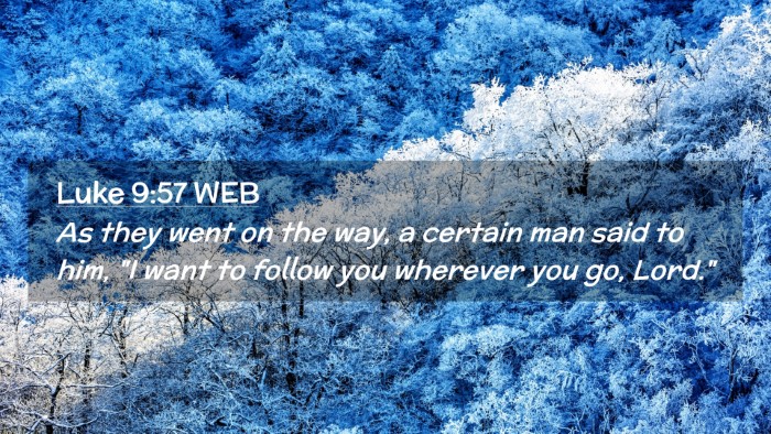 Picture 02 - Luke 9:57 WEB Desktop Wallpaper - As they went on the way, a certain man said to - Desktop Bible Verse Wallpaper